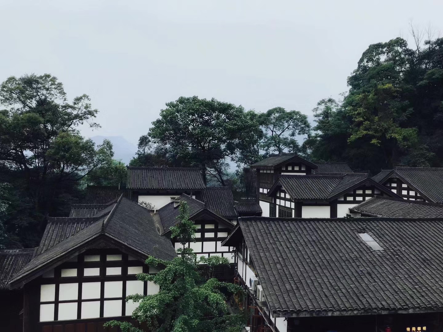 屋頂——四川成渝高速公路股份有限公司成渝分公司林英