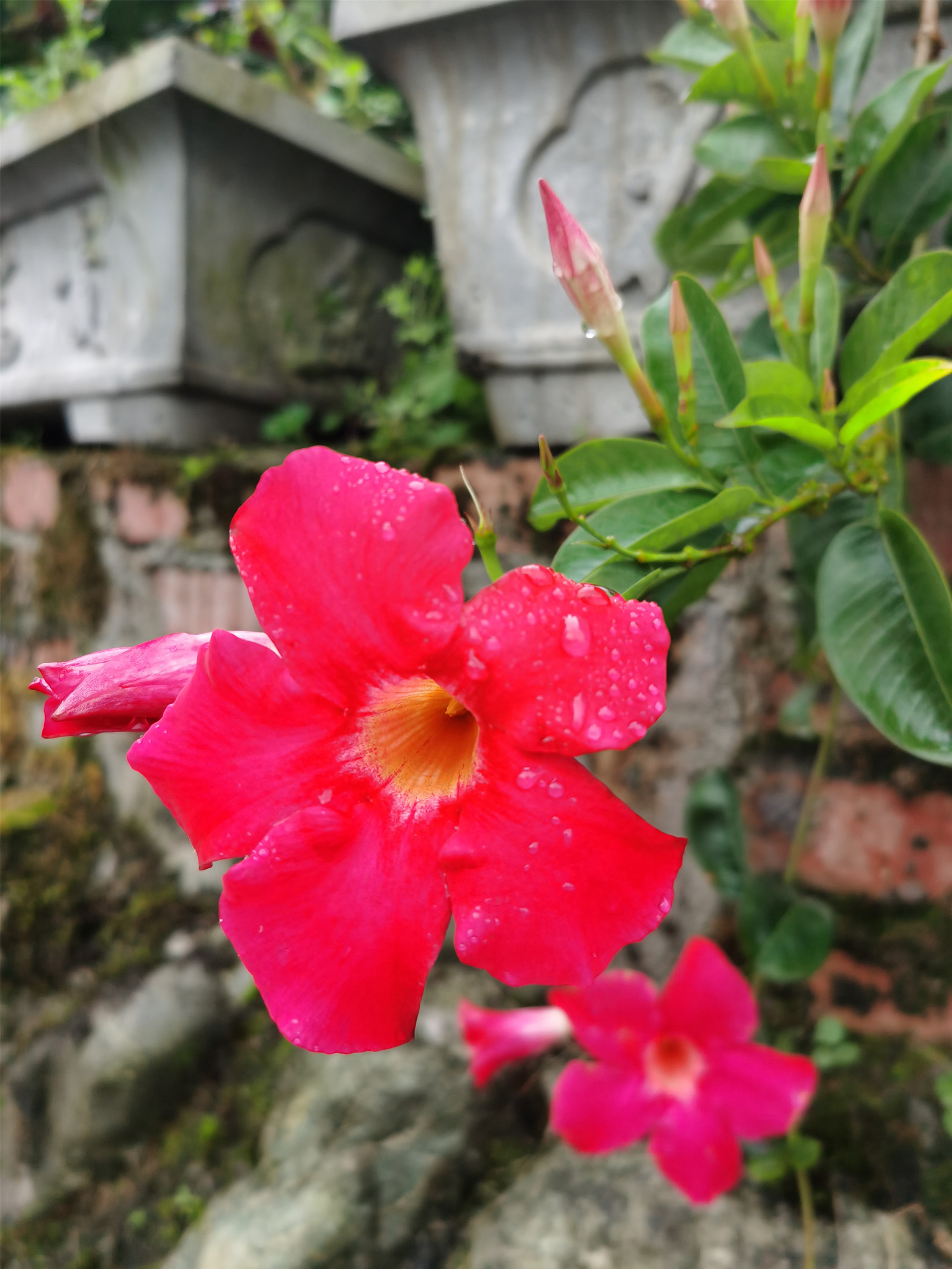 雨后——四川成渝高速公路股份有限公司成渝分公司唐艷_副本
