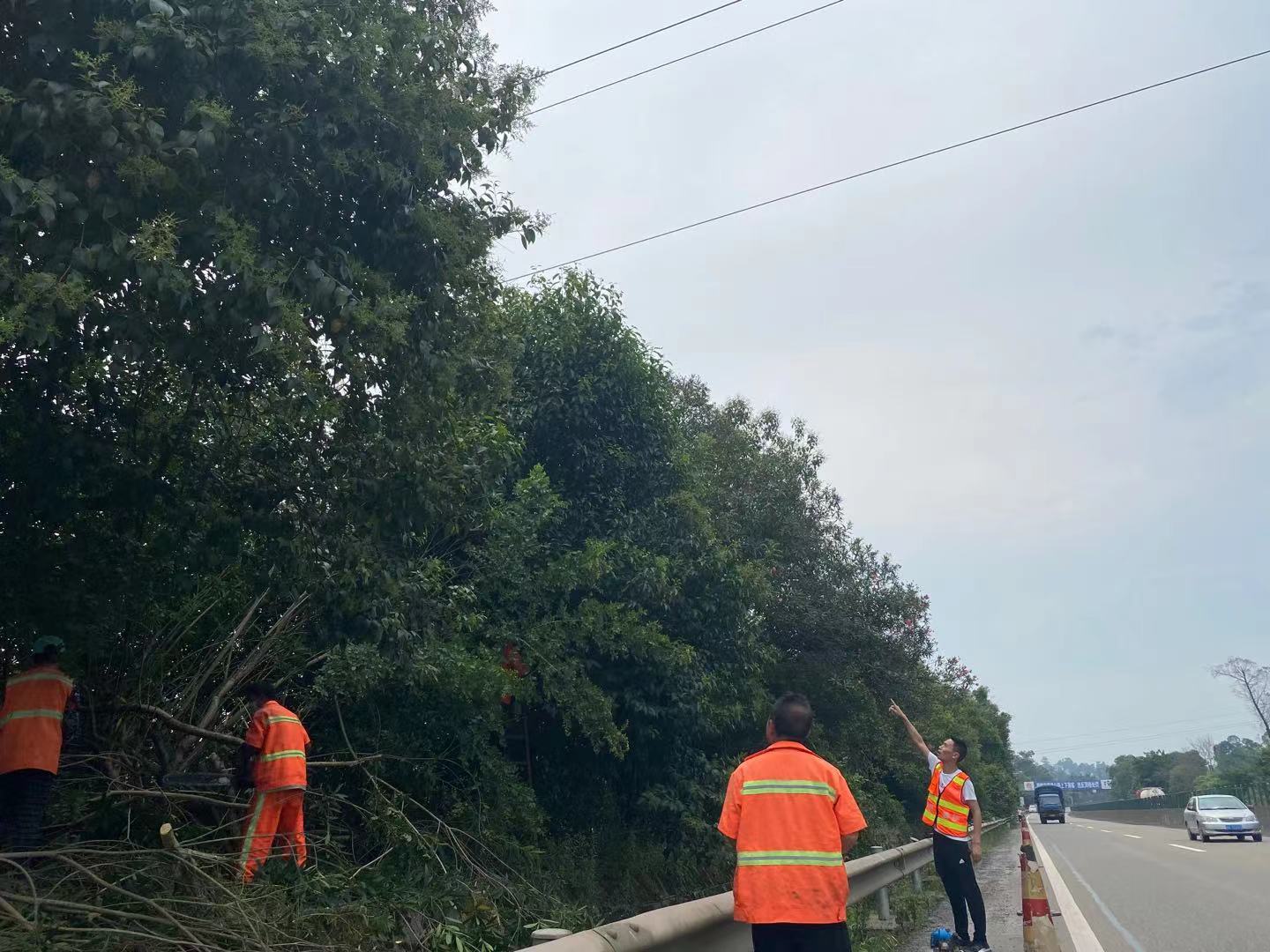 資陽管理處迅速處置橫跨高速公路線路安全隱患