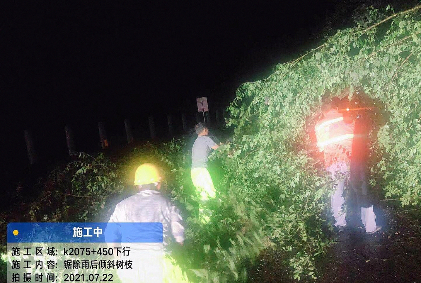 成都管理處及時消除行道樹傾斜安全隱患