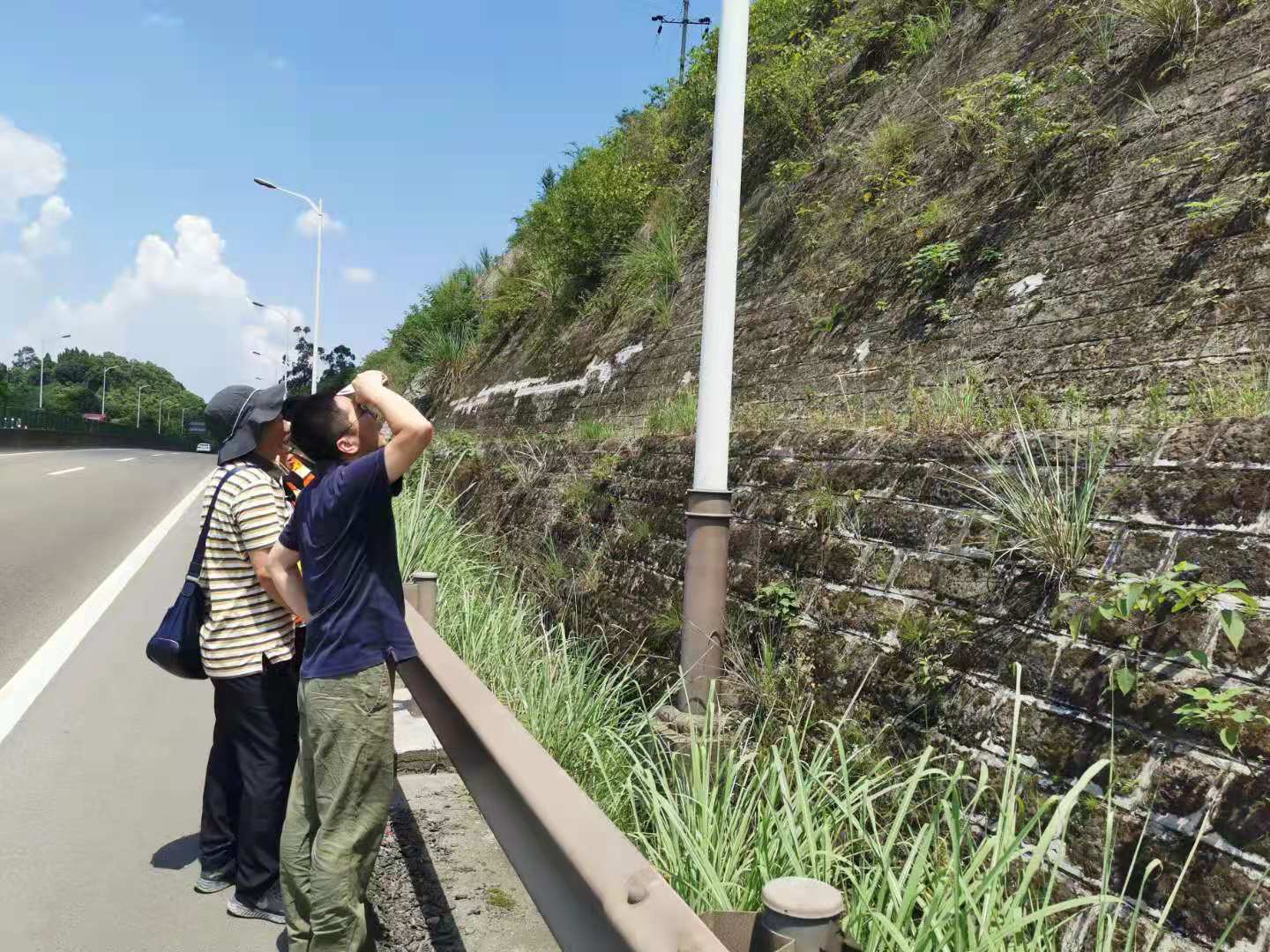 公司養(yǎng)護(hù)工程部邀請(qǐng)專(zhuān)家勘察成渝高速公路病害邊坡