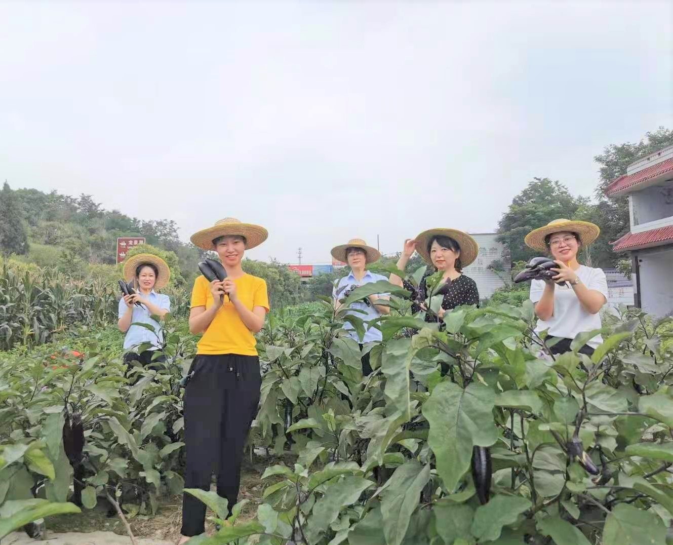 我為群眾辦實事——“職工菜園”喜獲豐收