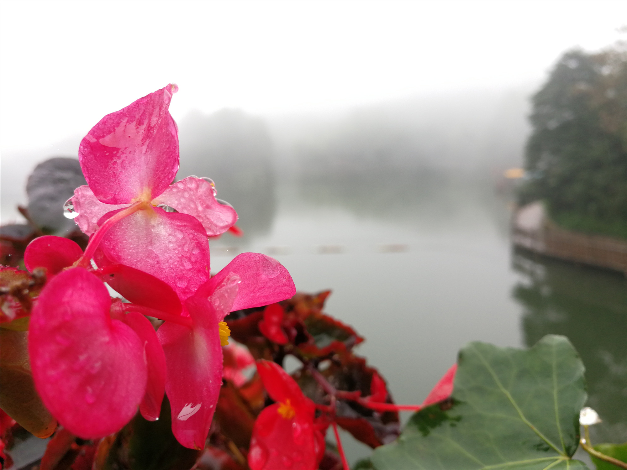 雨后綻放的美麗——四川成渝高速公路股份有限公司成渝分公司孫東華_副本