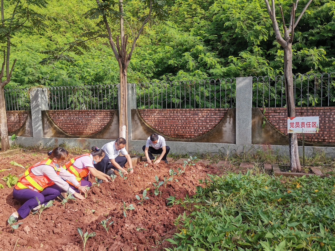 資陽(yáng)管理處加強(qiáng)職工菜園建設(shè)