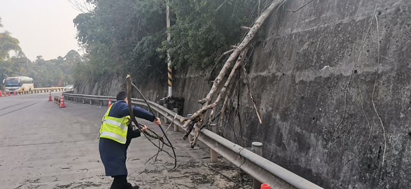 成渝高速公路魚溪收費站快速處置倒伏樹木