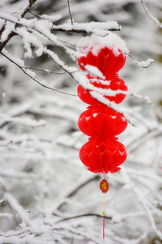 瑞雪兆豐年——四川成渝高速公路股份有限公司成渝分公司 蒙麗琴_副本