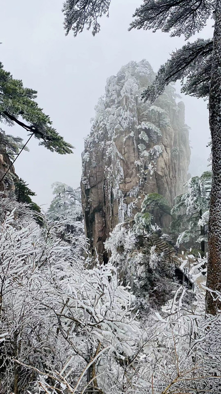 雪中佇立——四川成渝高速公路股份有限公司成渝分公司陳鑫_副本
