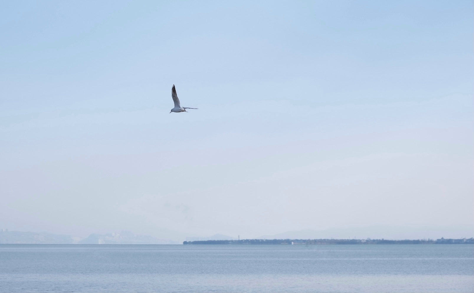 天高任鳥飛——四川成渝高速公路股份有限公司成渝分公司王永斌_副本