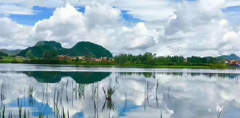 對影——四川成渝高速公路股份有限公司成渝分公司劉志伯_副本