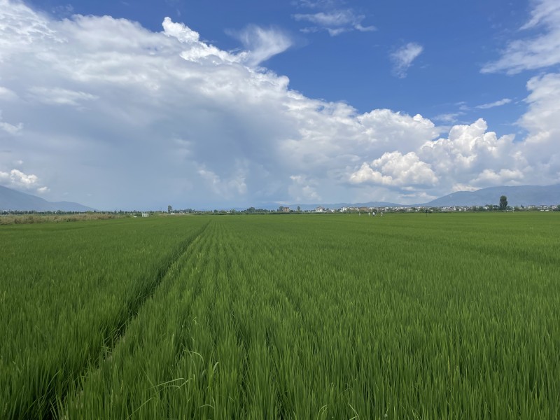 綠+四川成渝高速公路股份有限公司成渝分公司資陽管理處+鄧麗艷