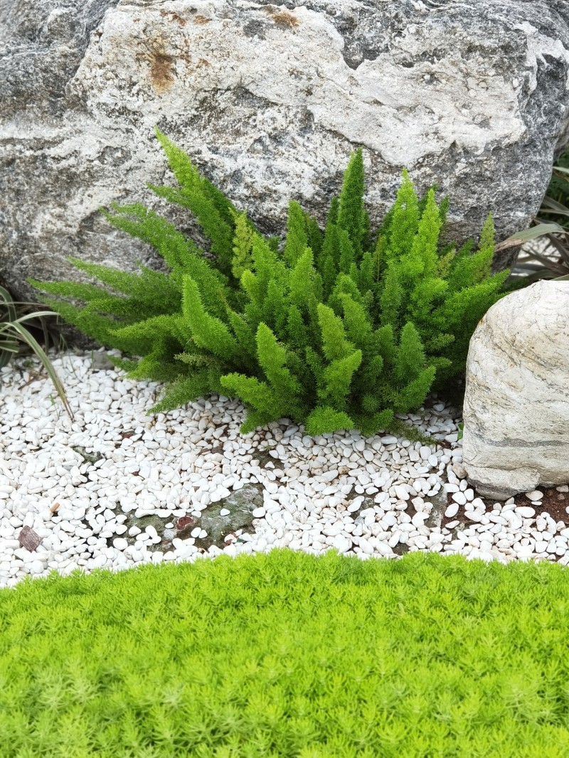 茵茵綠綠+四川成渝高速公路股份有限公司成渝分公司資陽管理處+鄒麗