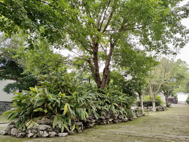 園林小景——四川成渝高速公路股份有限公司成渝分公司鐘曉峰