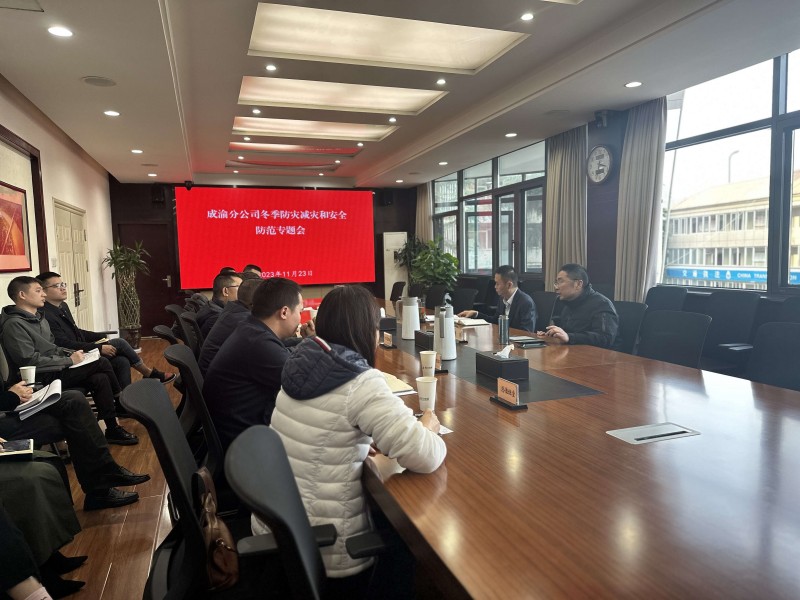 成渝分公司組織召開2023年冬季防災(zāi)減災(zāi)和安全防范專題會