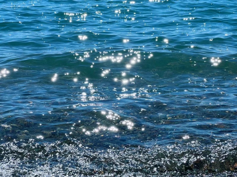 水花滿天+四川成渝高速公路股份有限公司成渝分公司資陽管理處+楊素華