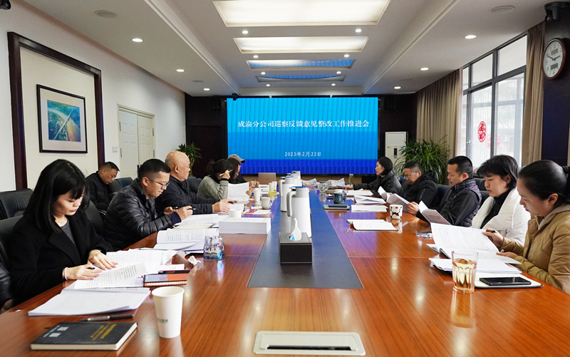 成渝分公司組織召開巡察反饋意見整改工作推進會