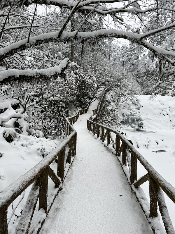 115、雪中橋+四川成渝高速公路股份有限公司成渝分公司資陽管理處+容易_副本