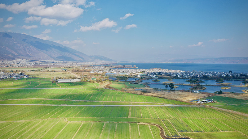 山水瑰麗——四川成渝高速公路股份有限公司成渝分公司 鐘夢影_副本