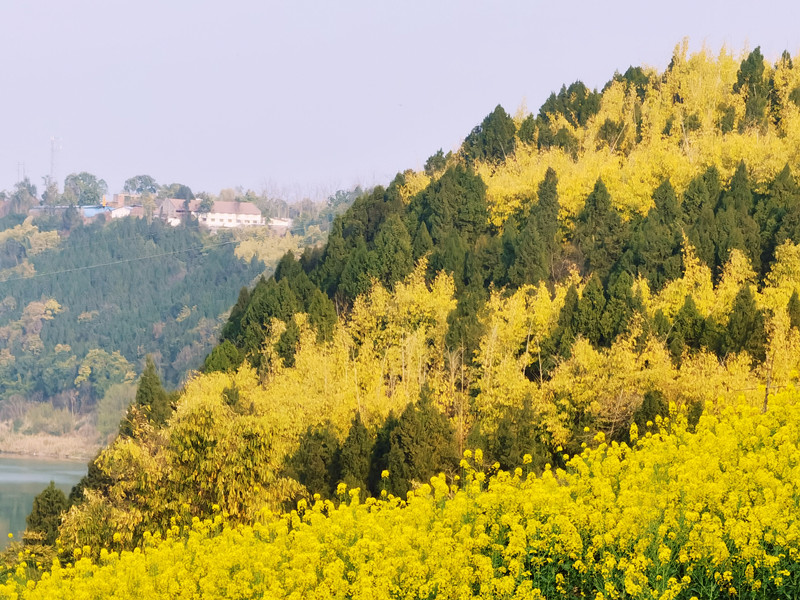 193、大好河山+四川成渝高速公路股份有限公司成渝分公司資陽管理處+鄒麗_副本