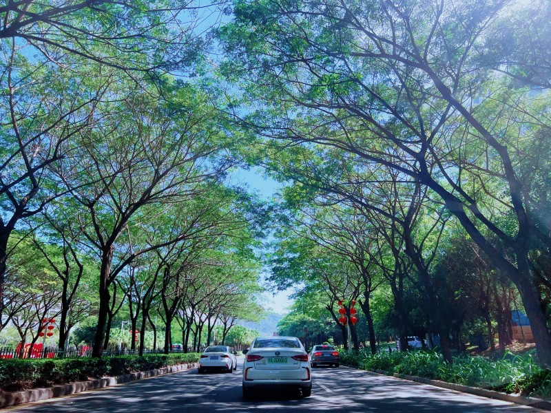 林蔭——四川成渝高速公路股份有限公司成渝分公司鄧詠