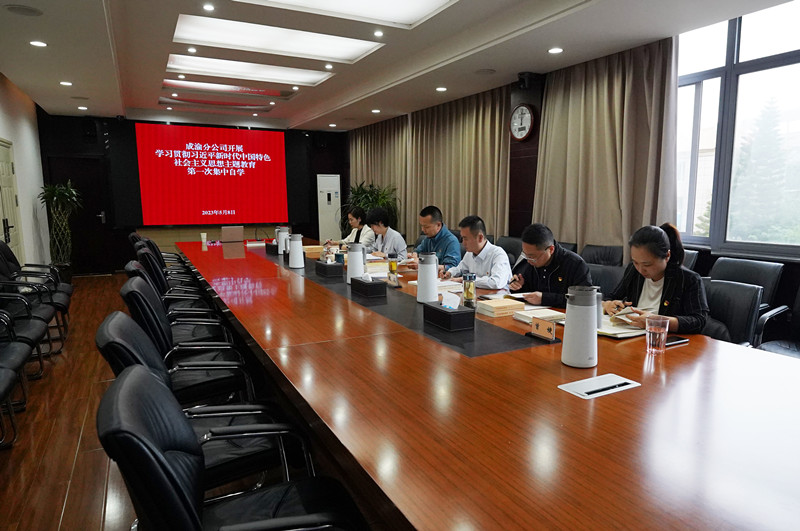 公司開展學習貫徹習近平新時代中國特色社會主義思想主題教育第一次集中自學_副本