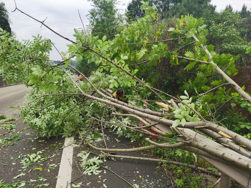 資陽管理處及時處置道路違法行為