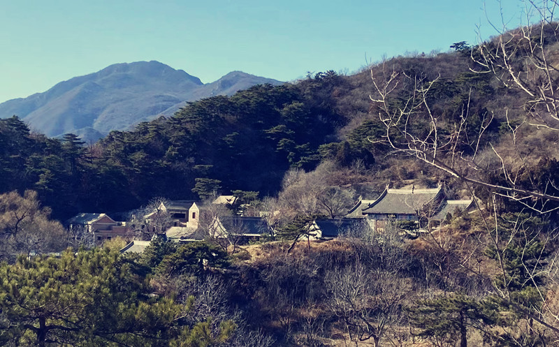 山中人家——四川成渝高速公路股份有限公司成渝分公司張昕_副本