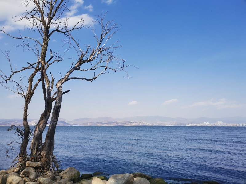 洱海+成都管理處+李紅