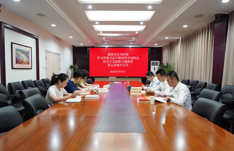 公司開展學(xué)習(xí)貫徹習(xí)近平新時代中國特色社會主義思想主題教育第五次集中自學(xué)