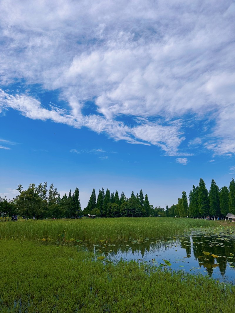 碧天一色+四川成渝高速公路股份有限公司成渝分公司資陽管理處+孫沛