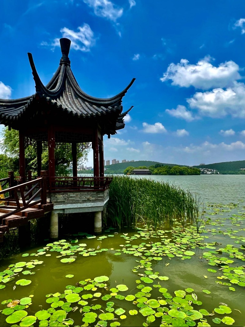公園小亭+成都管理處+熊維平
