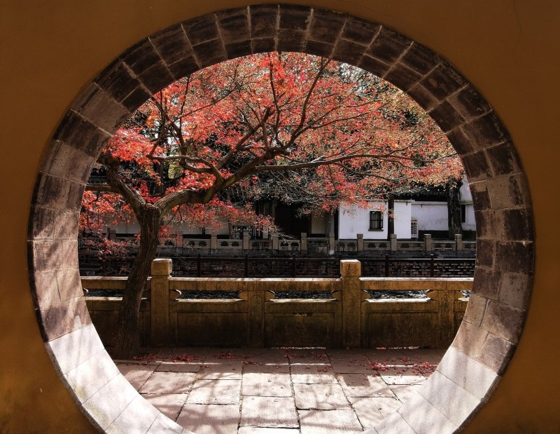 光陰如禪+成都管理處+鐘夢(mèng)影