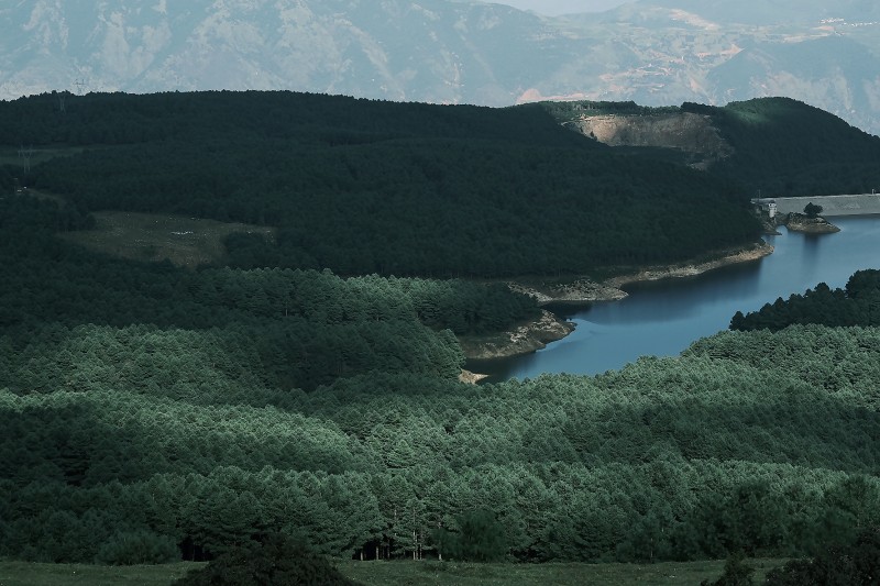 鳥吊山+成都管理處+宋慶