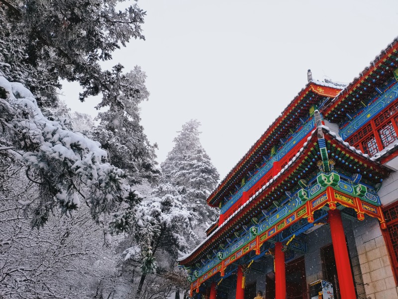白雪鑲紅墻+四川成渝高速公路股份有限公司成渝分公司資陽管理處+孫沛
