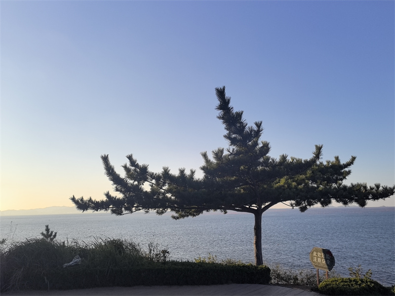 獨樹湖+成都管理處+劉城辰