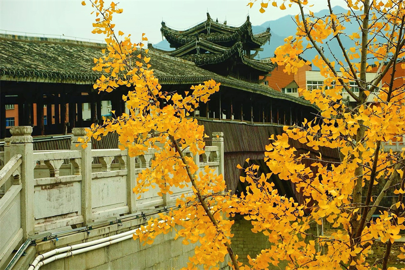 廊橋秋色+成都管理處+鐘夢影