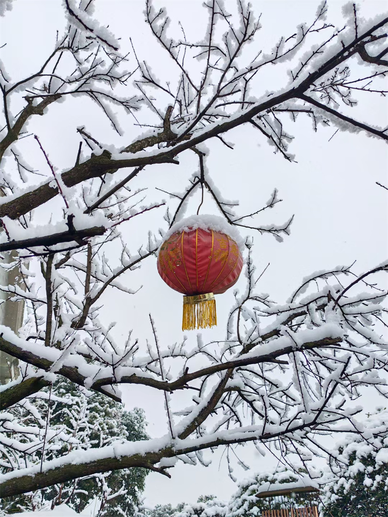初雪+成都管理處+蔡勇華