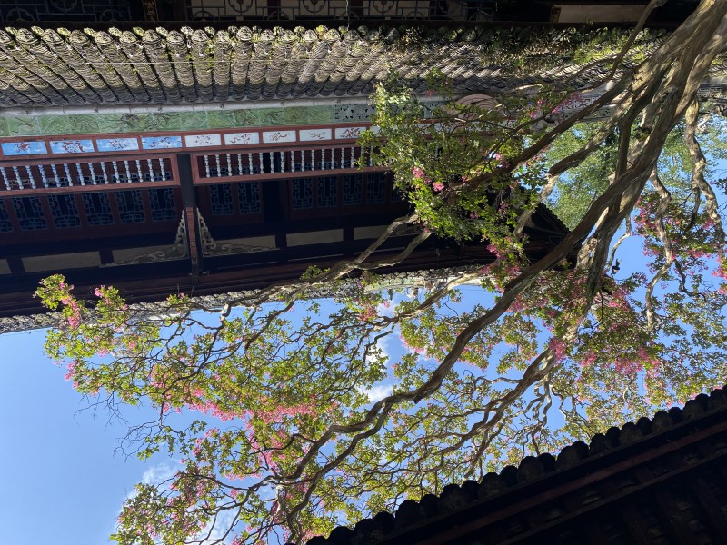 閣樓一角+四川成渝高速公路股份有限公司成渝分公司資陽管理處+李林