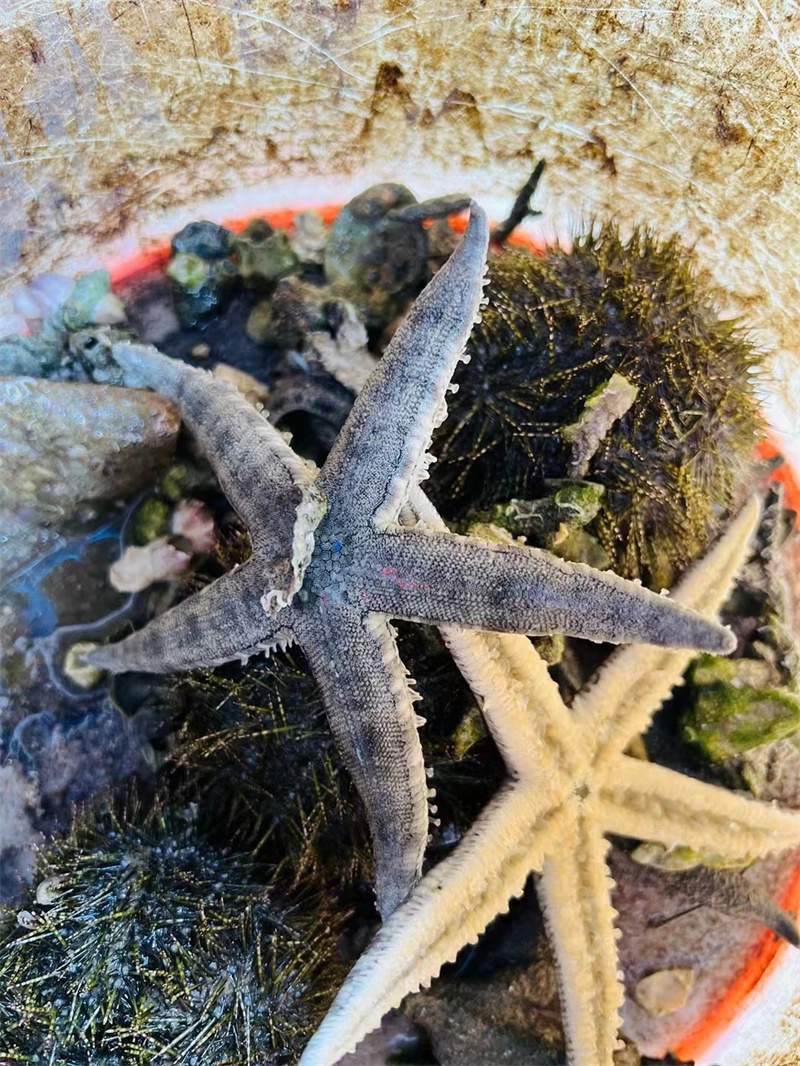大自然的饋贈+四川成渝高速公路股份有限公司成渝分公司資陽管處+曾茜