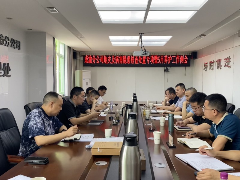 成渝分公司召開地災及病害隱患排查處置工作會