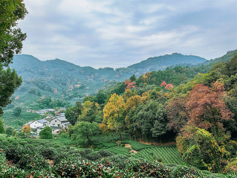 隱世而居+成都管理處+鐘夢影